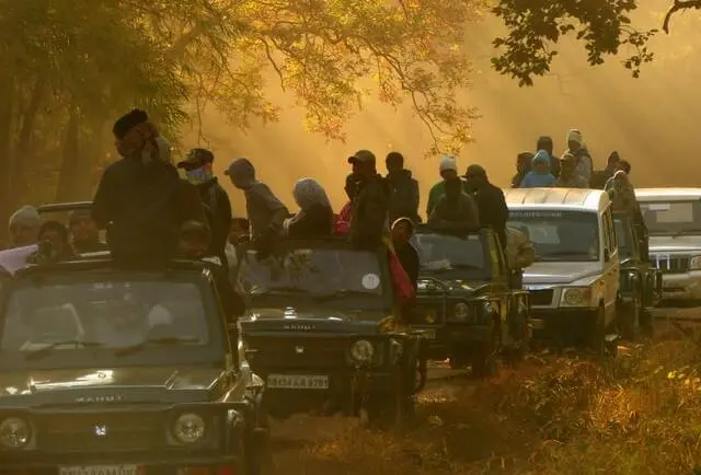 jeep-safari