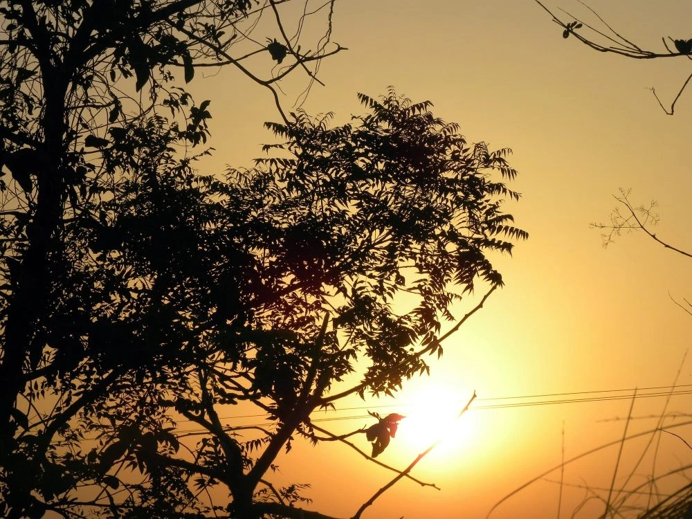 National Parks Near Tadoba