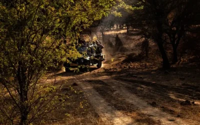 Moharli Gate – Tadoba’s wild entrance