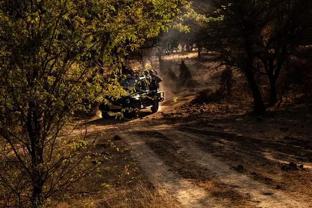 Moharli Gate – Tadoba’s wild entrance